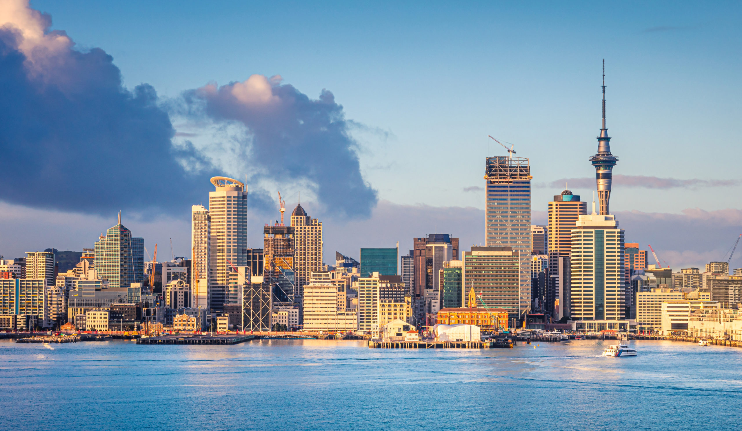 10x your revenue & business with the best SEO Auckland has to offer.