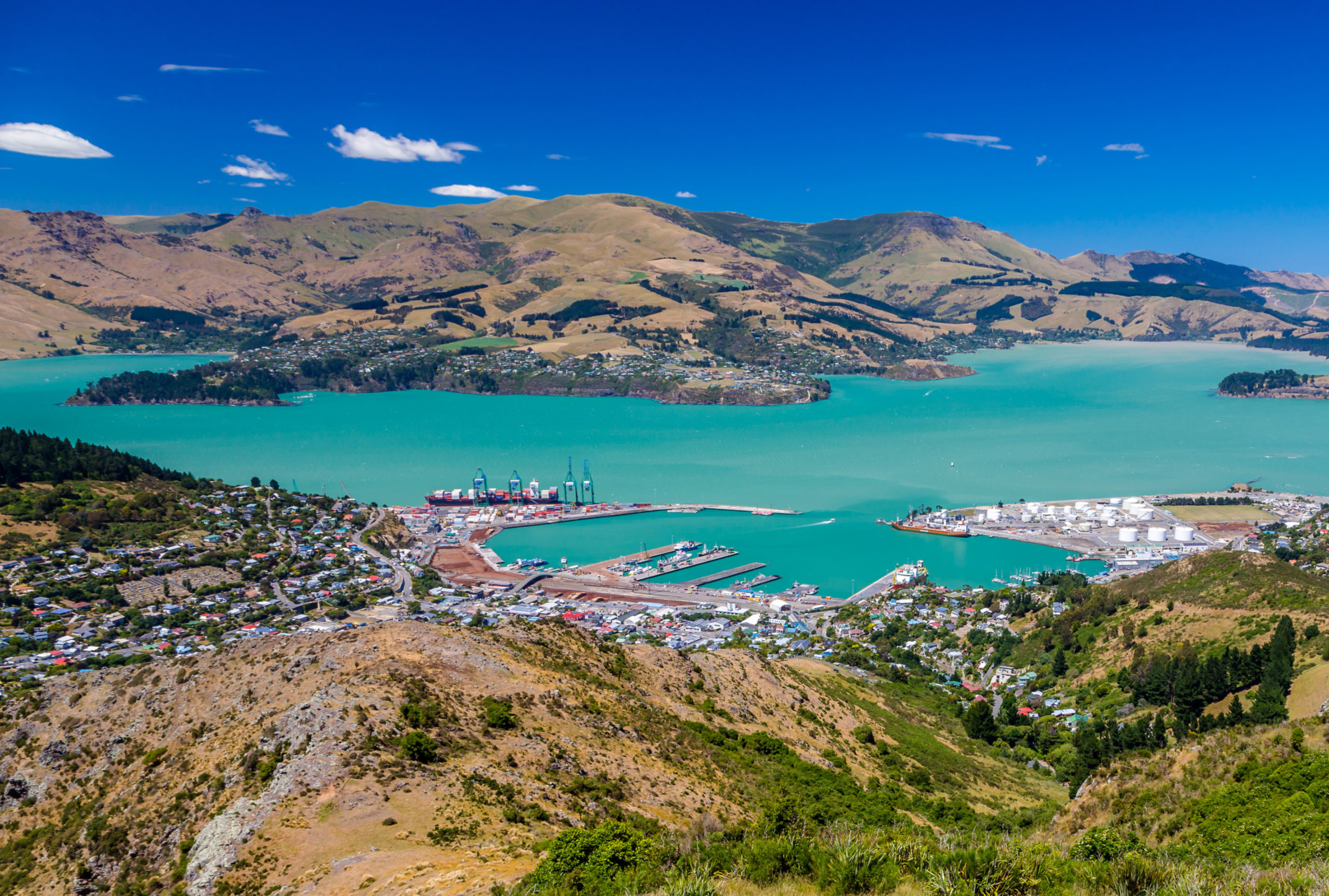 10x your growth with the best SEO Christchurch has to offer.